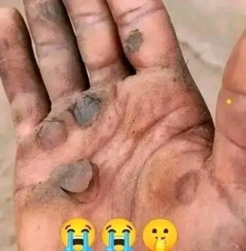 Fomamov - Alabode Rosine 